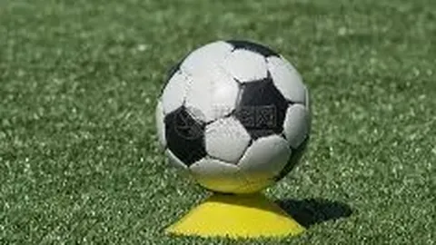 汇仟小学第二届篮球盛宴激情启幕