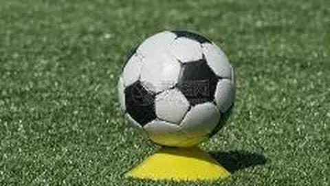 成都世运会开幕式：国旗飘扬，中国代表团荣耀亮相