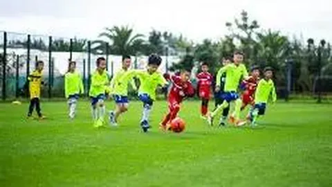 沙巴体育平台 产品 111909 msr