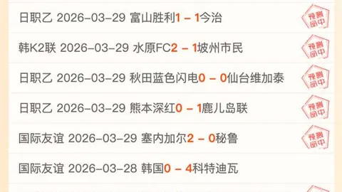 “DeepSeek技术革新多地政务系统，揭示变革之路”