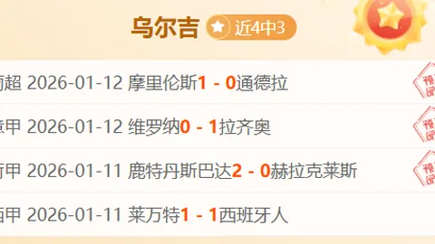 欧洲杯贵妇团风云际会：新星闪耀——菲利克斯佳人格丽塔领跑潮流